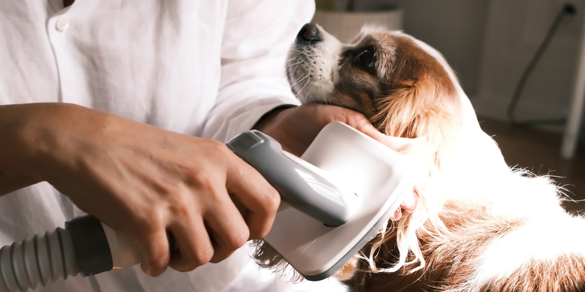 Grooming made easy: the Neakasa Pet Grooming Kit put to the test