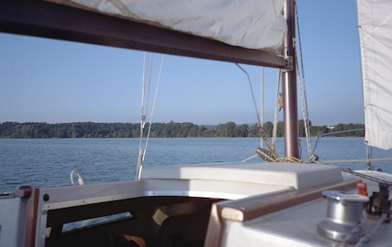 Pellicule