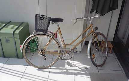 Pellicule