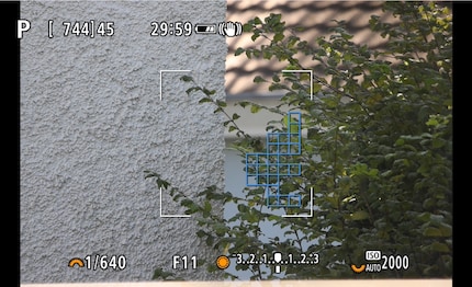 L'autofocus du 800mm, moins cher, ne fonctionne qu'à l'intérieur du carré. Vous pouvez voir ici la taille du carré sur un appareil photo plein format. En APS-C, la zone est plus grande.