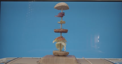 Voilà à quoi ressemble l'image prise avec l'appareil photo.