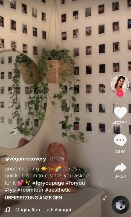 Les plus petits Polaroïds forment de grands ensembles. Photo : tiktokeuse « Veganrecovery »