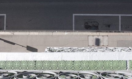 Le seul espace verdoyant ici, ce sont ces affreuses plaques en plastique.