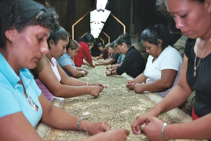 Contrôle de qualité dans une ferme (c) Wikimedia Commons