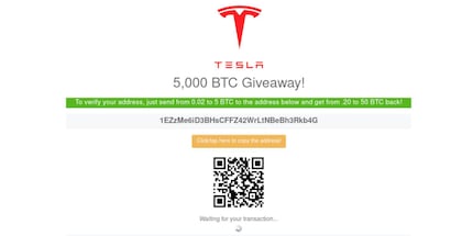 Both the Tesla and Elon Musk accounts are popular with scammers, as Elon himself is a fan of cryptocurrency. Image source: elon-musk.life