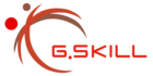 Logo de la marque G.Skill