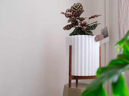 Le cadre surélevé peut remplacer un piédestal pour plante et améliore le son.