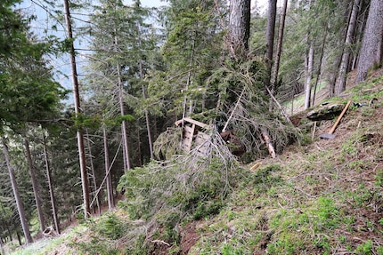 «US» successfully camouflaged.