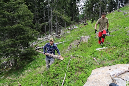 ... and doing heavy-duty work.