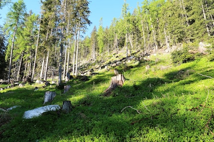 The view into the terrain from the «Gamsbode» without binoculars.