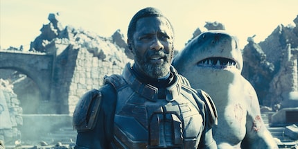 King Shark is kind of like a cross between a shark and Hulk.