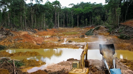 Tout ce qui brille n’est pas or : la destruction de la forêt tropicale due à l’exploitation de l’or en Amérique du Sud.