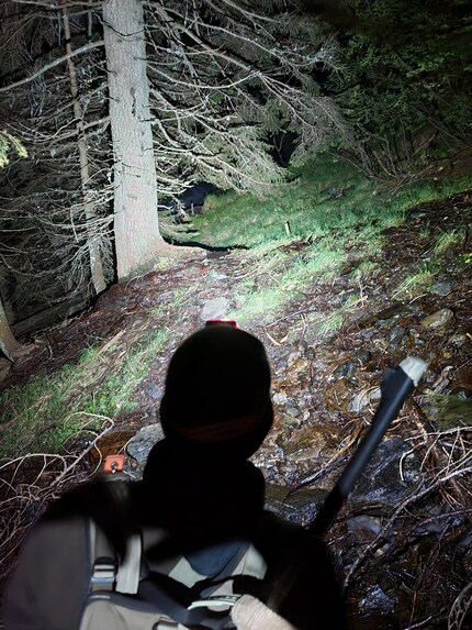 Jusqu'à 900 lumens éclairent la forêt.