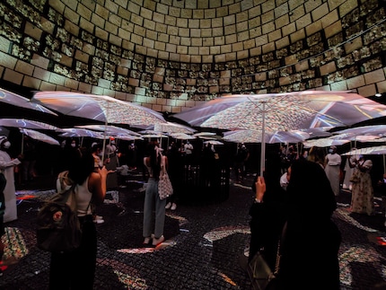 À l’intérieur se trouve une culture de champignons mise en valeur par un jeu de lumière avec des parapluies.