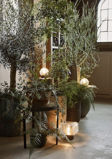 Un bel arrangement dépend de la bonne source de lumière, qu’elle provienne de lampes ou d’autres éclairages comme les bougies.