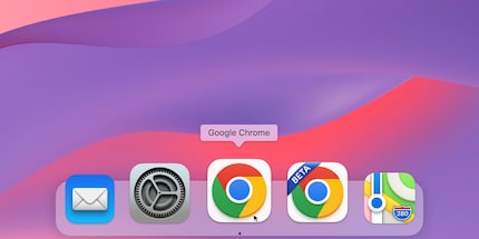The Chrome icon on macOS.