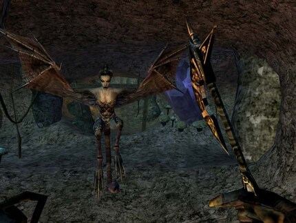 Mit The Elder Scrolls 3: Morrowind (Mai 2002) bringt Howard den damals strauchelnden Entwickler Bethesda wieder auf Kurs. Seit der Übernahme von Bethesda durch Microsoft ist die Version für Xbox auch im Game Pass enthalten.
