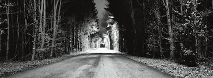 Forest path in XPan Mode