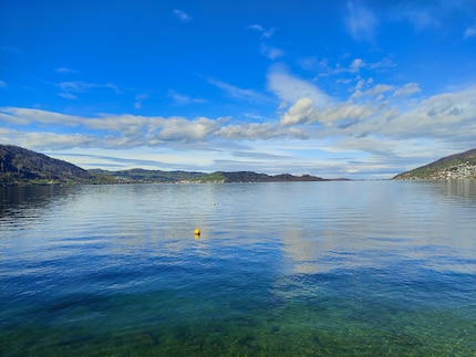 An image through the lens of the Oppo Find X5 Pro, fully AI-optimised