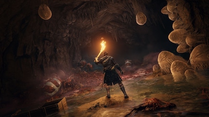 Très peu de choses sont expliquées dans « Elden Ring ». Ce qui rend l’univers encore plus mystérieux.