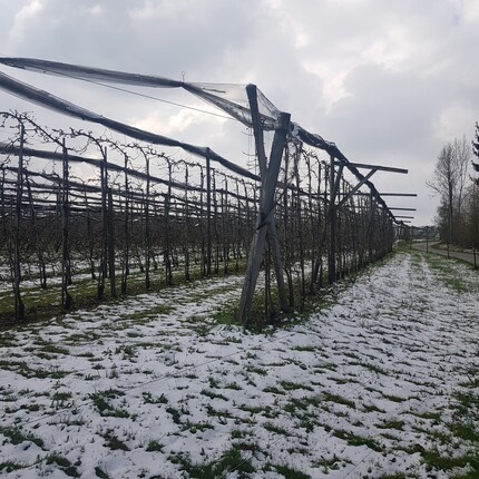 It’s early April and there’s snow on my brother’s farm.