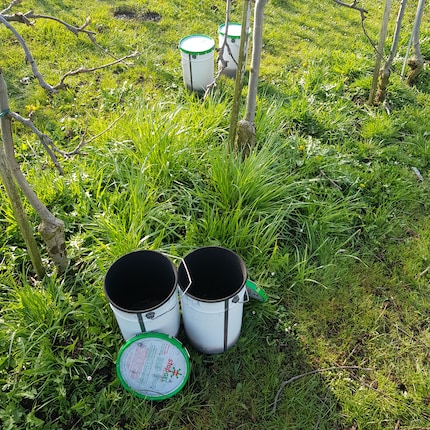 This is the view that met me in the morning. The candles that were used before have burned out, while the new candles have been put out early.