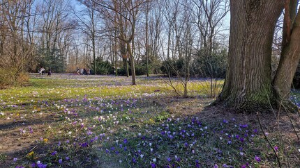 J'apprécie vraiment ces fleurs violettes.