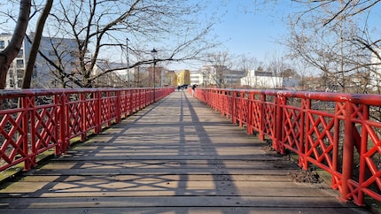 Une autre photo en plein soleil.