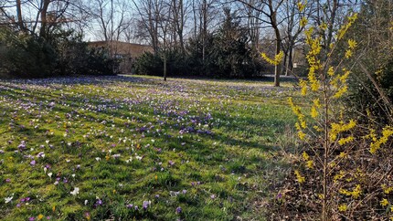Les qualités HDR de Samsung sont une fois de plus exceptionnelles.