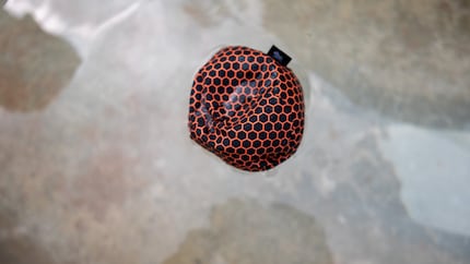 Si jamais une balle tombe dans le puits, elle sait aussi nager.