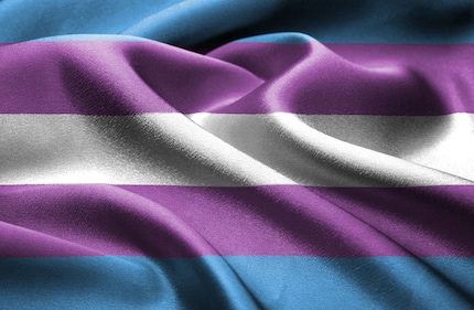 Le drapeau Trans-Pride est composé des couleurs rose, bleue et blanche. Les bandes roses représentent la féminité, les bleues la masculinité et la bande blanche les personnes non-binaires, intersexuées et en transition.