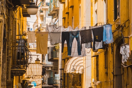 How can you want to ban something so lovely? Image: Samuel C, Unsplash