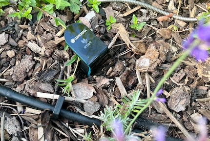 Le capteur fait figure de sens du toucher du système Gardena. Il détecte le degré d'humidité du sol et sait s'il faut arroser.