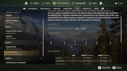 Il vaut la peine de consulter l'encyclopédie avant de partir à la chasse.