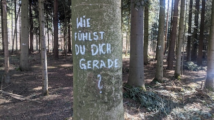 Comment te sens-tu ? Mon ami l'arbre pose une question intelligente.