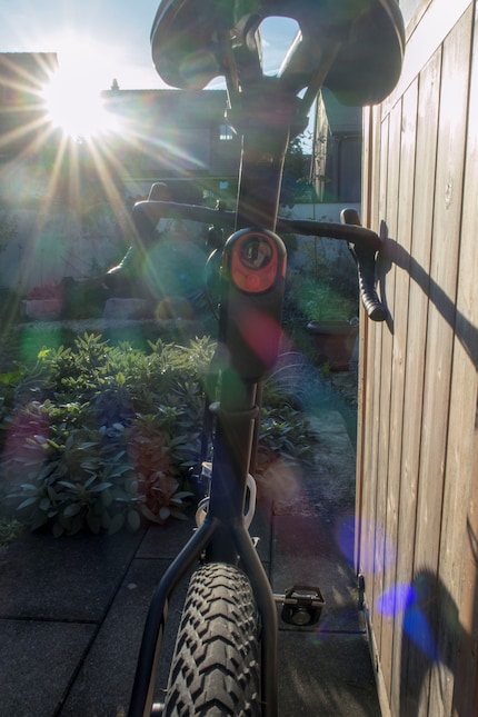  ... ou sans dans le soleil du matin.