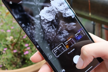 Trois modes supplémentaires à choix pour les photos portraits.
