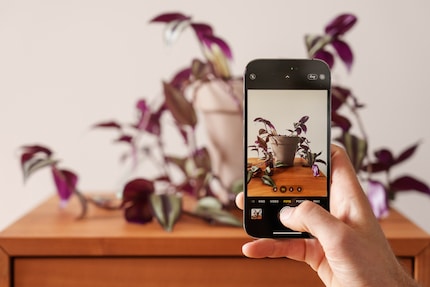 L'appareil photo du dernier iPhone est certes meilleur que celui de son prédécesseur, mais le progrès n’est pas immense.