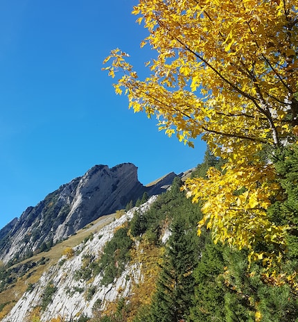 L’automne se montre sous son plus beau jour lors de notre randonnée.