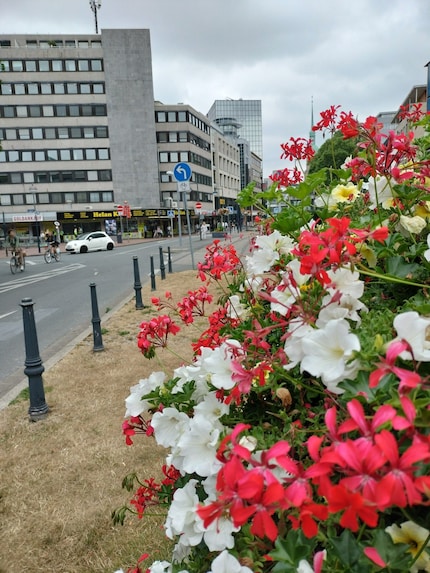 Hauptkamera