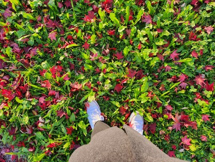Le Samsung Galaxy Z Flip 4 fait de belles photos.