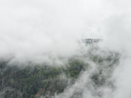 X2D : cela fait une éternité que je n’ai pas pris autant de plaisir à faire des photos. Mes photos ne s’en voient pas améliorées, mais je gagne en expérience.