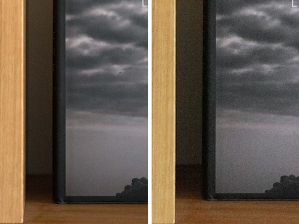 Si je mets à l’échelle l’image du X2D (à gauche) sur la section à 100 pour cent d’une image identique prise avec le Sony A1 (à droite), le meilleur comportement au bruit est clairement visible.