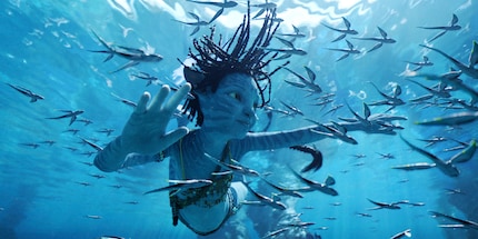 Je n’arrive pas à croire que rien dans cette image ne soit réel, pas même la surface de l’eau.