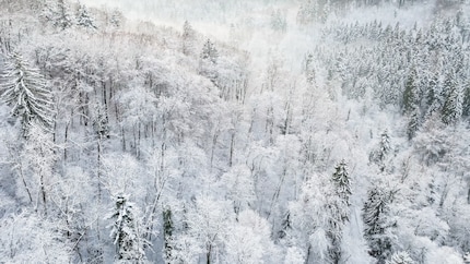 Here’s my test area: the wintry Winterthur forest, taken on the DJI Mavic 3 Classic.