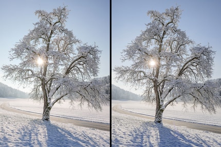Les images du S5II (à gauche) sont identiques à celles de l’ancien S5 (à droite). Les fichiers RAW n’étant pas encore pris en charge par les convertisseurs au moment de mon test, je n’ai utilisé que des formats JPG.