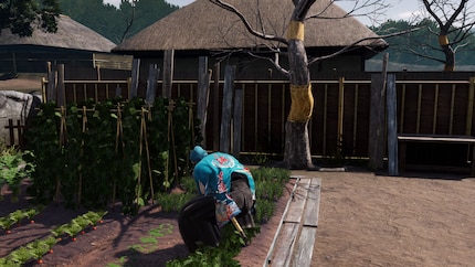 Dans la maison de campagne de Ryōma, je peux faire pousser des légumes, collecter de nouvelles décorations pour mon domaine et tout simplement me défouler.