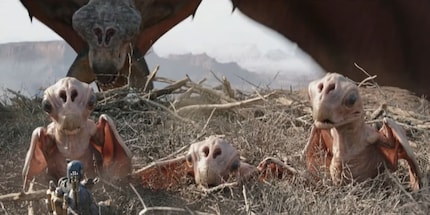Maman Jai'Galaar et ses trois bébés.
