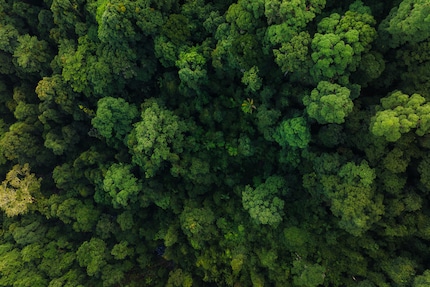 Une photo prise avec la caméra principale du Mavic 3 Pro.