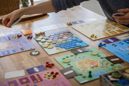 Le but du jeu est de s'assurer que votre colonie d'abeilles reçoit suffisamment de nourriture pour passer l'hiver à venir.